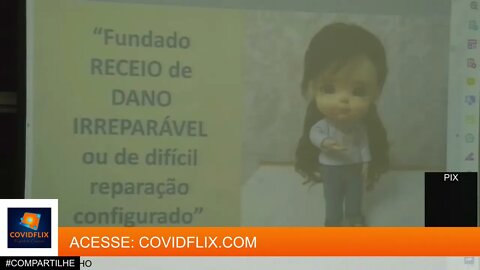 AUDIÊNCIA PÚBLICA NA ALESP PASSAPORTE SANITÁRIO DRA MARIA EMILIA GADELHA SERRA