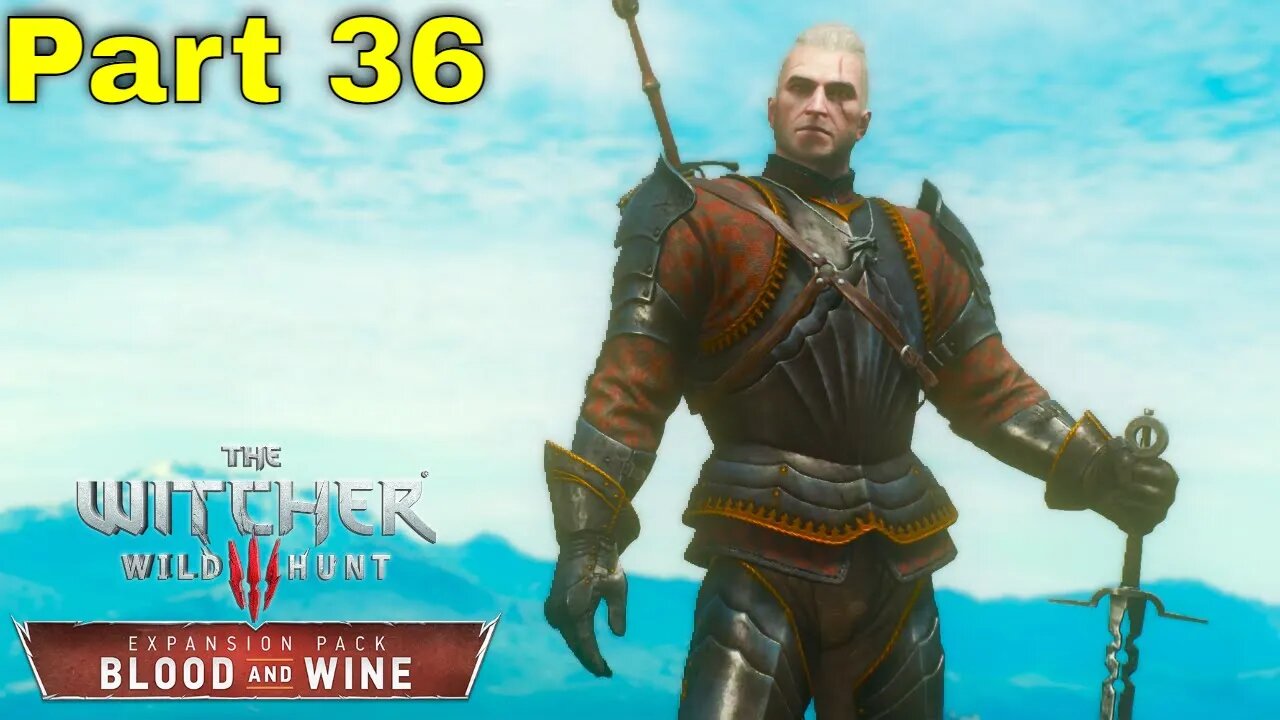 A WITCHER'S PORTRAIT | The Witcher 3: Wild Hunt Next Gen Playthrough #36