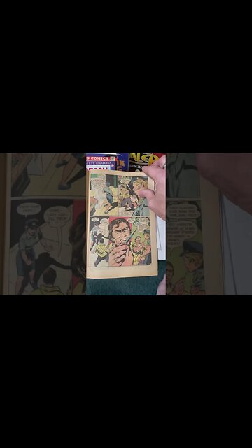 Lady Cop! The title says it all! Great art and a fun story! Beauty, brains, and brawn!