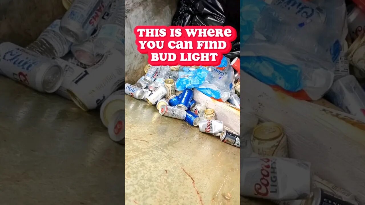 I Found the Bud Light #dylanmulvaney #budlight #beer