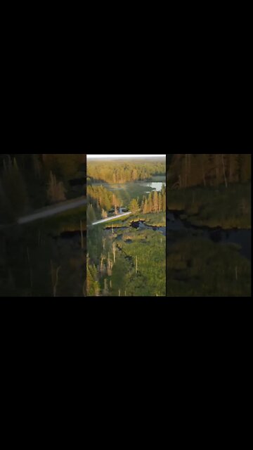 Drone Narrowly Misses Tree Tops While Videoing #short #shortvideo #shorts #shortsvideo