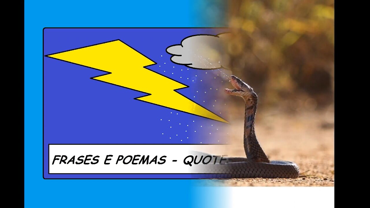 Eu ainda vou cuspir na sua cara, ter dito que não iria conseguir, perdedor! [Frases e Poemas]