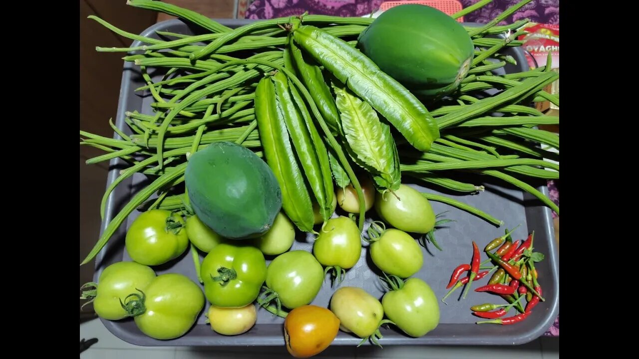 METRO URBAN GARDEN HARVEST (ANGELES CITY)