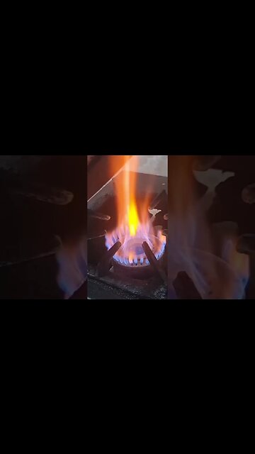 #foodie #music #reels #shortvideo