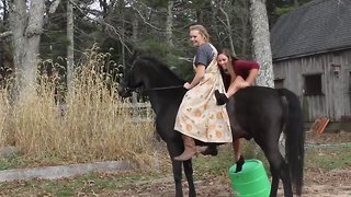 Funniest Horse Fails