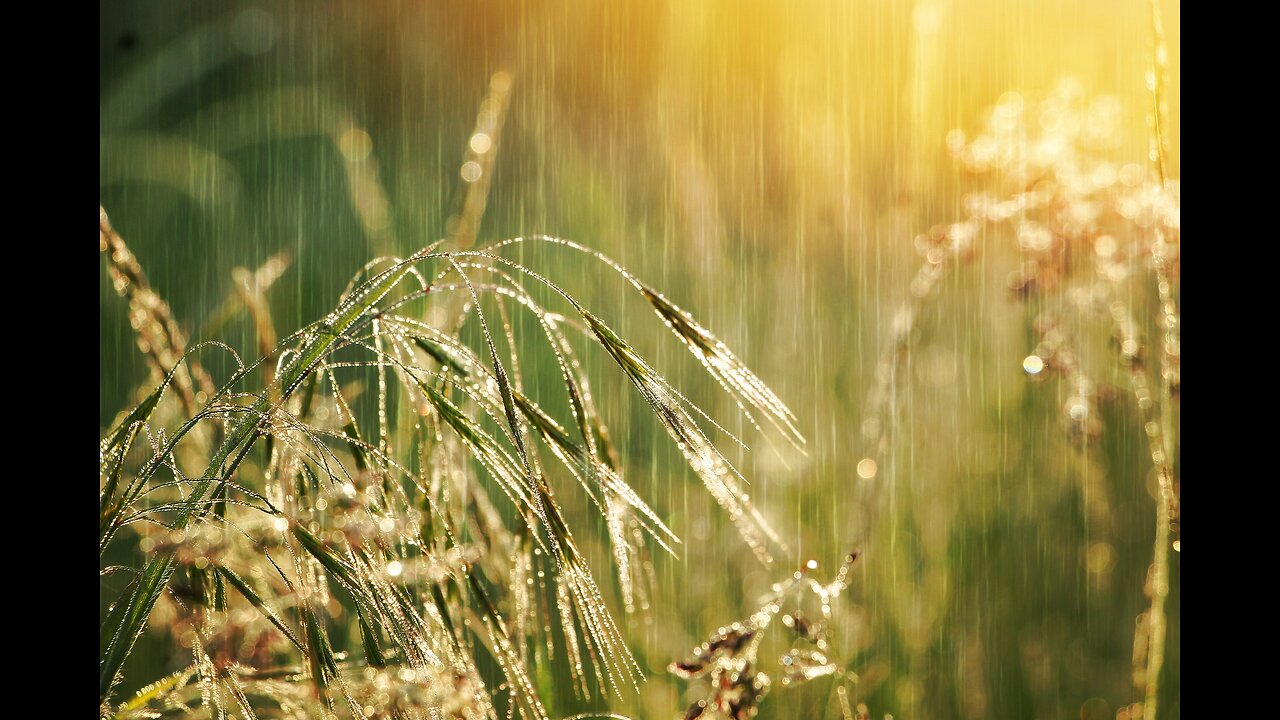 sleep peacefully with the sound of rain