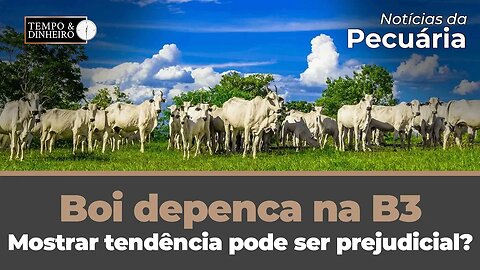 Boi despenca na B3. Mostrar tendência pode ser prejudicial?