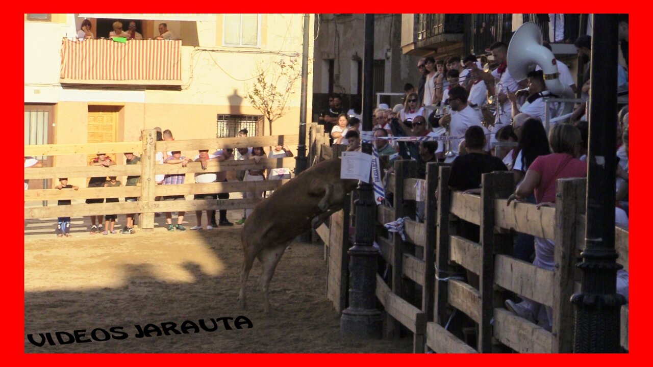 ABLITAS ( NAVARRA ) TARDE VACAS PLAZA ( MIÉRCOLES 31 AGOSTO 2022 ) ARRIAZU