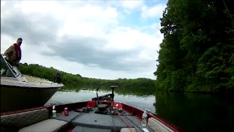 Pulled Over by the Fish Police