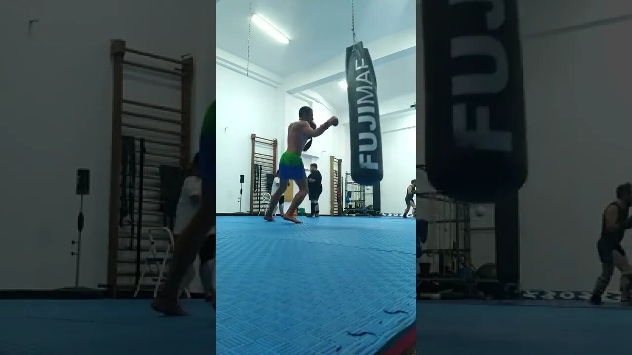 Kick, Punch, Elbow And Knee The Bag (9)