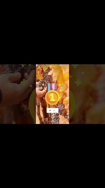 Château Tanunda Grand Barossa Tasting 🍷🤗🇦🇺