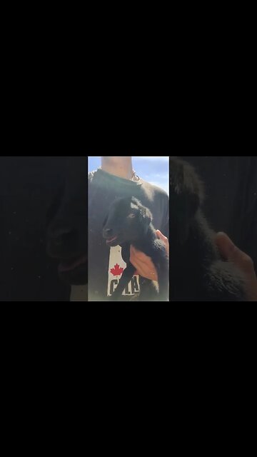 Little STUNTER happy go lucky