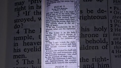 Psalm 11 KJV