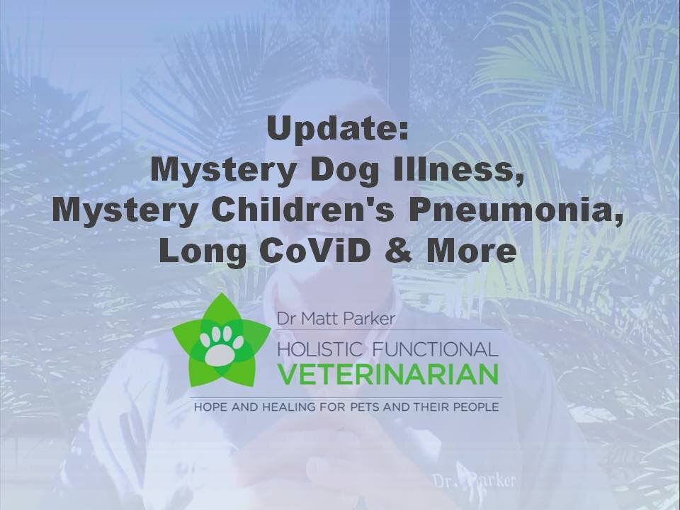 Update: Mystery Dog Respiratory Illness, Mystery Children's Pneumonia, Long-CoViD, and More.