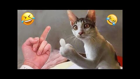 You Laugh You Lose 😂 Funniest Cats and Dogs 😻🐶