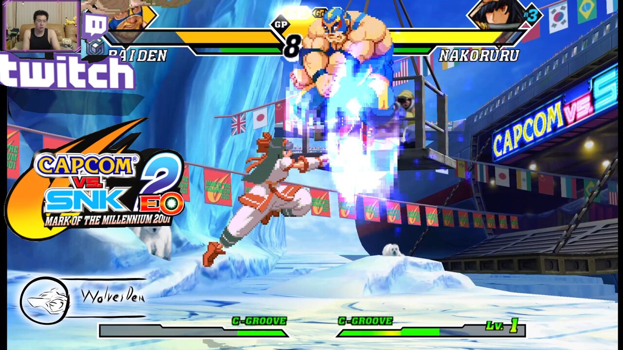 (GC) Capcom Vs. SNK 2 EO - 14 - Raiden - Ratio mode - Level 8