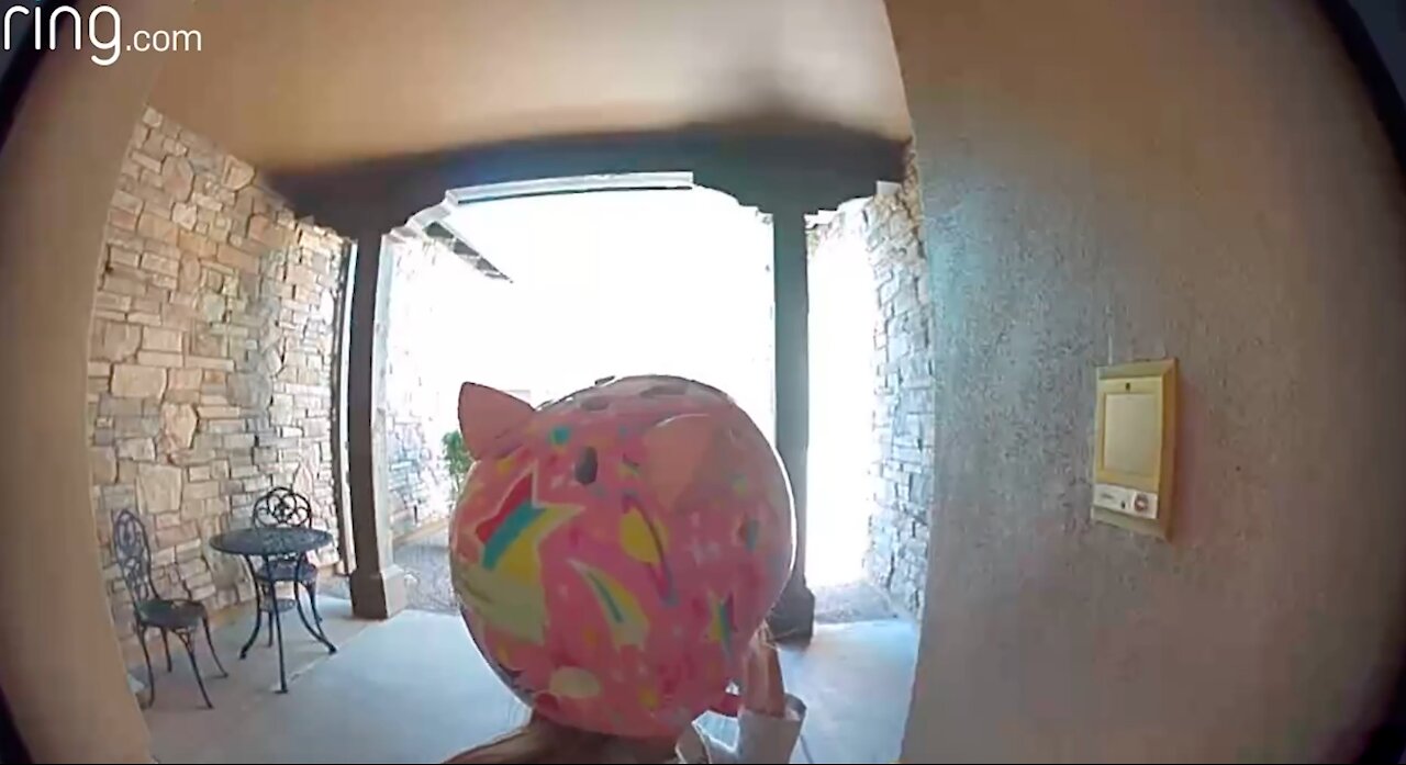 Kid Talks to Her Neighbor On Ring Video Doorbell After Running Away From a Bobcat