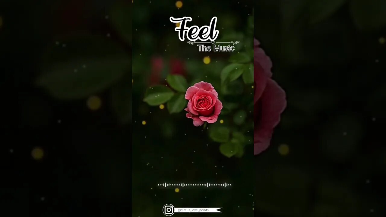 🌺🦋✨🥀... #editing #explore #edit #explorepage #instagram #lou #love #reelkarofeelkaro