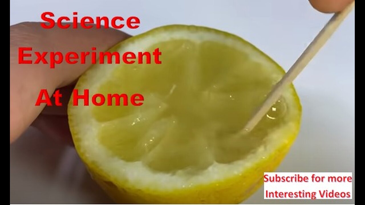 Home Made Science Experiment | Experiment at home