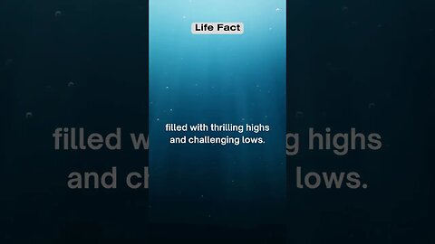 Life is like a rollercoaster #facts #relationshipfacts