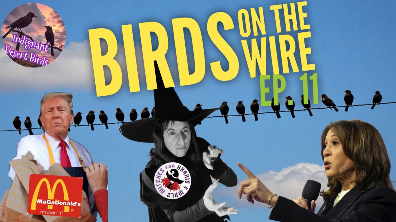 Trump Puts in Work, Kamala Implodes, Witches for Harris frustrated, and more!