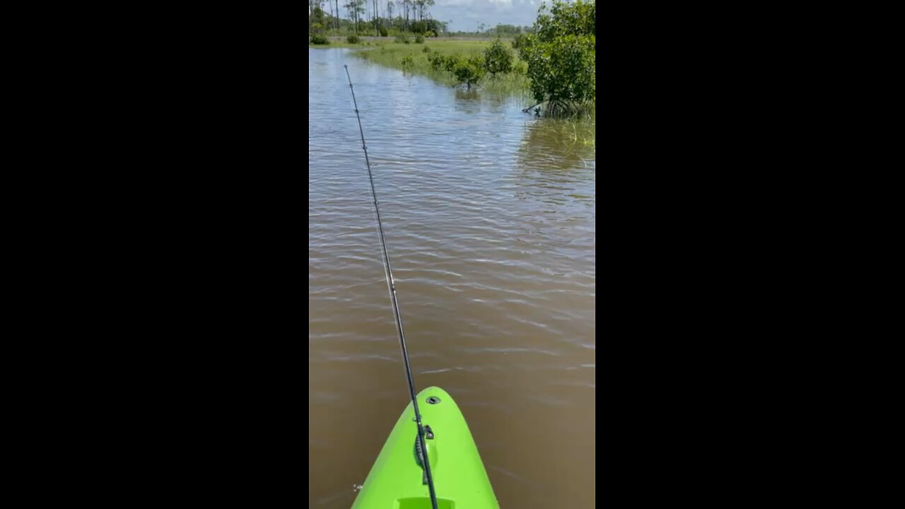 Manatees