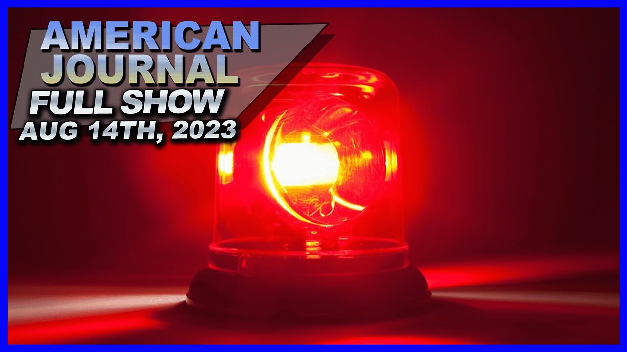 Crime, Border Surge, Dollar Collapse Hit US Middle Class as Globalists Quell Opposition