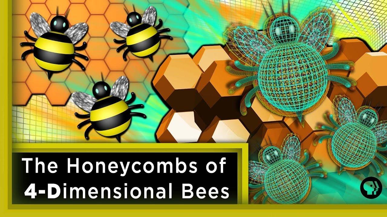 The Honeycombs of 4-Dimensional Bees ft. Joe Hanson