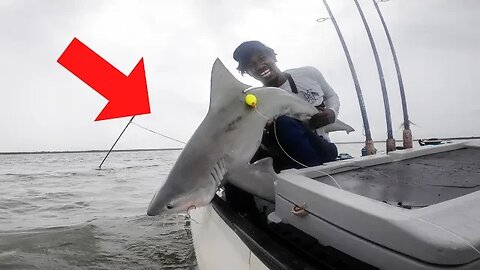 BULL SHARK on *SMALL* Boat! Snook, Redfish, Trout (Everglades National Park)