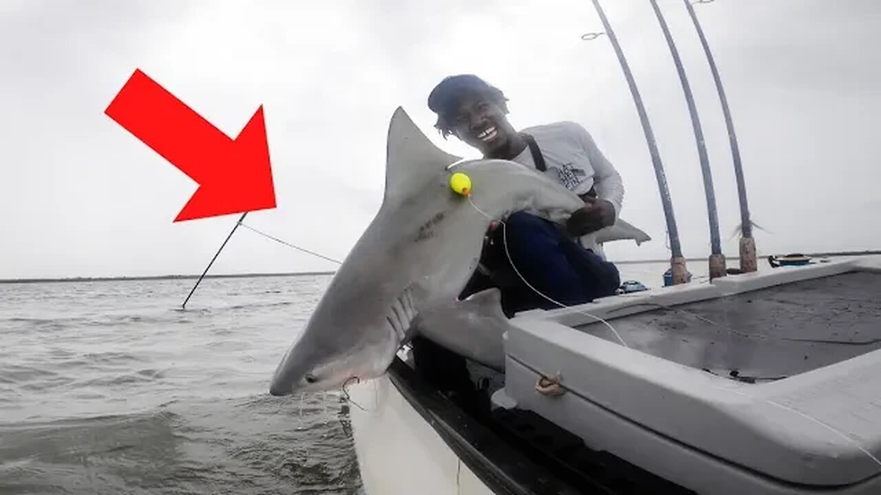 BULL SHARK on *SMALL* Boat! Snook, Redfish, Trout (Everglades National Park)
