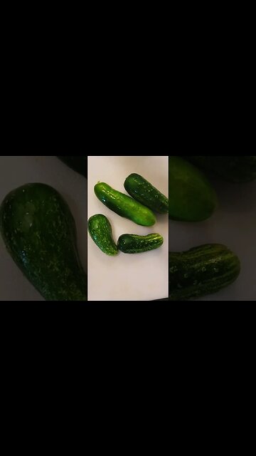 Juicing vegetables from the Pixies Potager garden #garden #organicgardening #juice #healthy #shorts