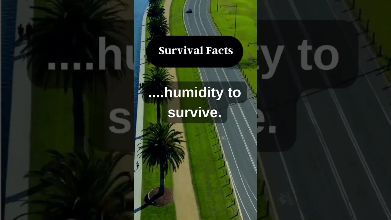 Do you agree with this? Please share your thoughts and opinions in the comments. 👉#short #survival