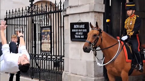 Man does a back flip in front of the kings guard #horseguardsparade