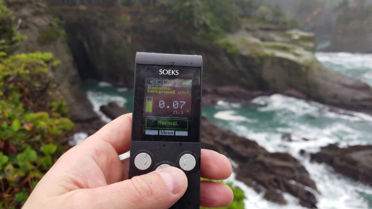 How much Fukushima Radiation reached the Coast NW, Neah Bay, WA