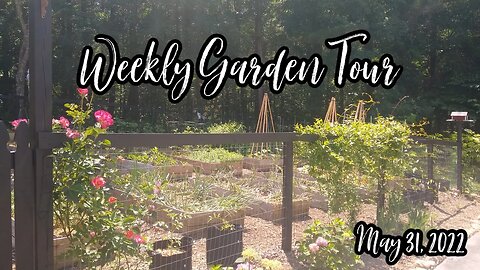 Raised Bed Garden Tour | May 31, 2022