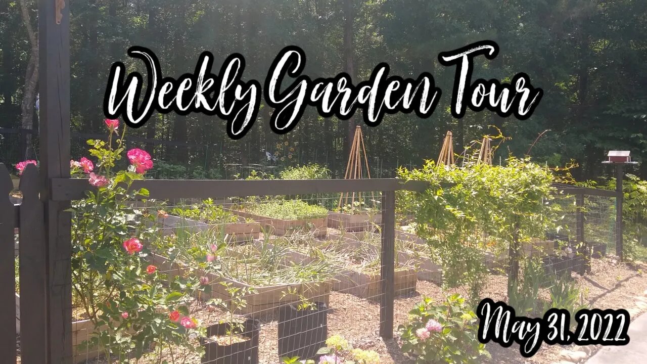 Raised Bed Garden Tour | May 31, 2022