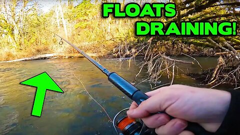 BOBBER Downs! SMALL STREAM Steelhead Fishing MADNESS.