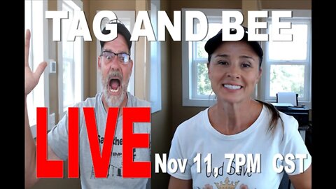 Tag and Bee Live