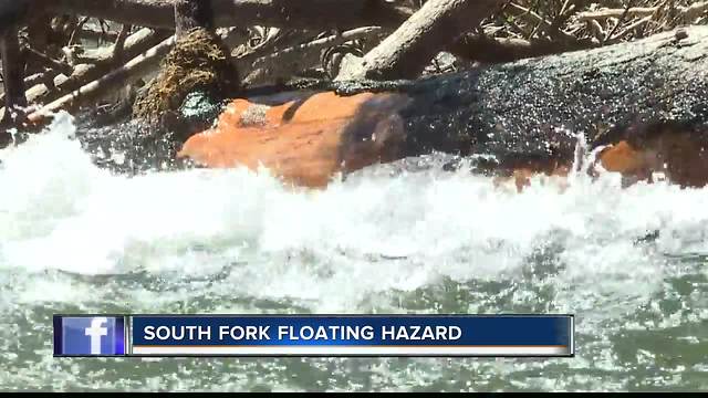 Tree in Boise River near Pine causing added danger