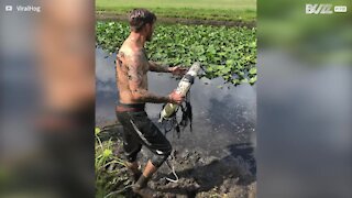 Man turns lifeguard swimmer to free bird trapped in mud