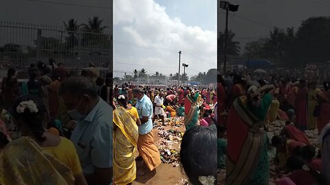 திருக்கோஷ்டியூர் வேண்டும் வரம் கொடுக்கும் விளக்கு பூஜை || மாசிமஹம் 2023