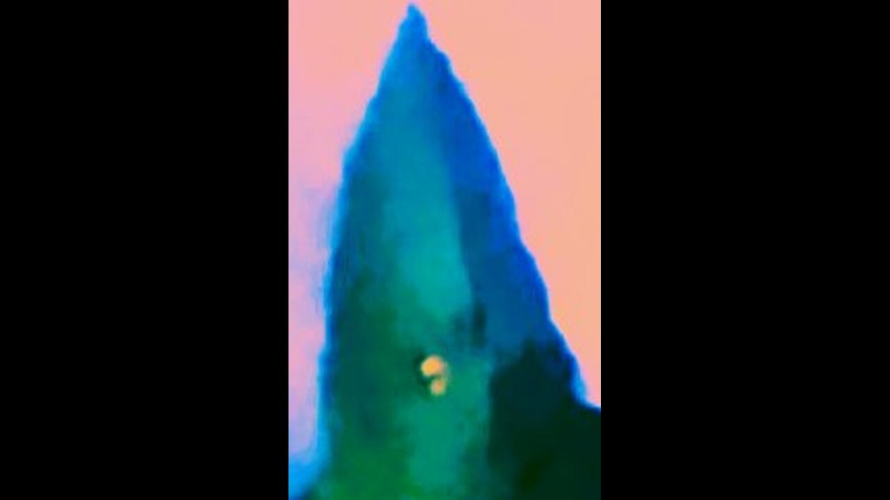 Bernie sanders hates Christmas trees