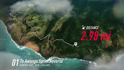 DiRT Rally 2 - 037 Excursion Through Te Awanga