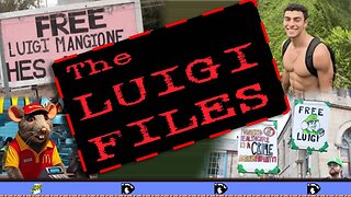 The Luigi Files - Panel Discussion with Steve Poikonen, Matt Weinglass, Amber King, & Tiffany Cianci