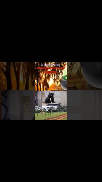 A velha estava fazendo um negócio estranho na cozinha... #shorts