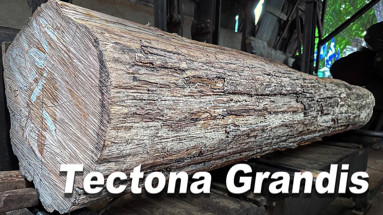 CLOSE UP SAWMILL!! Proses detail Belah Kayu Jati Berkualitas untuk Pembuatan Pintu Joglo