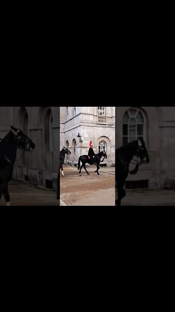 Trumpet 🎺 player on a white horse #horseguardsparade