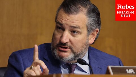 'One Final Example Of Just How Asinine This Is': Ted Cruz Rips COVID-19 Mandates