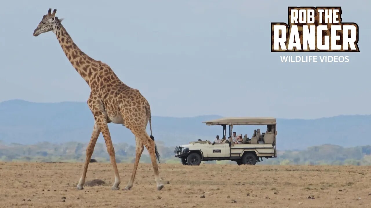 Watching Wildlife In Open Vehicles | Lalashe Mara Ripoi Safari