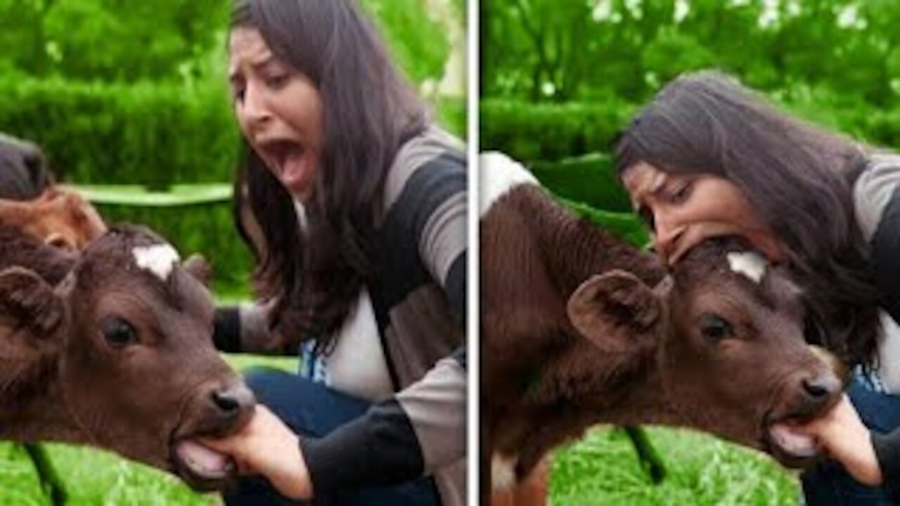 MOST FUNNIEST Moments Of The week Compilation